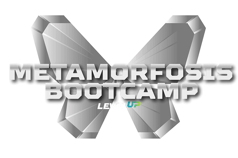 metamorfosis_BC-opt2