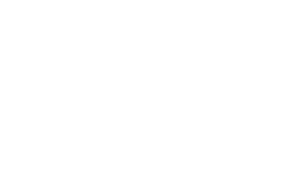 logo AJEV blanco-sin fondo